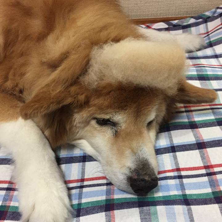 Fabdd8fa bc5f 4685 ac15 bda88e9eaf88