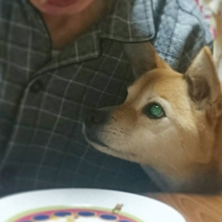 Fabdf0b1 b7fc 4065 926e d62030d8a1e6