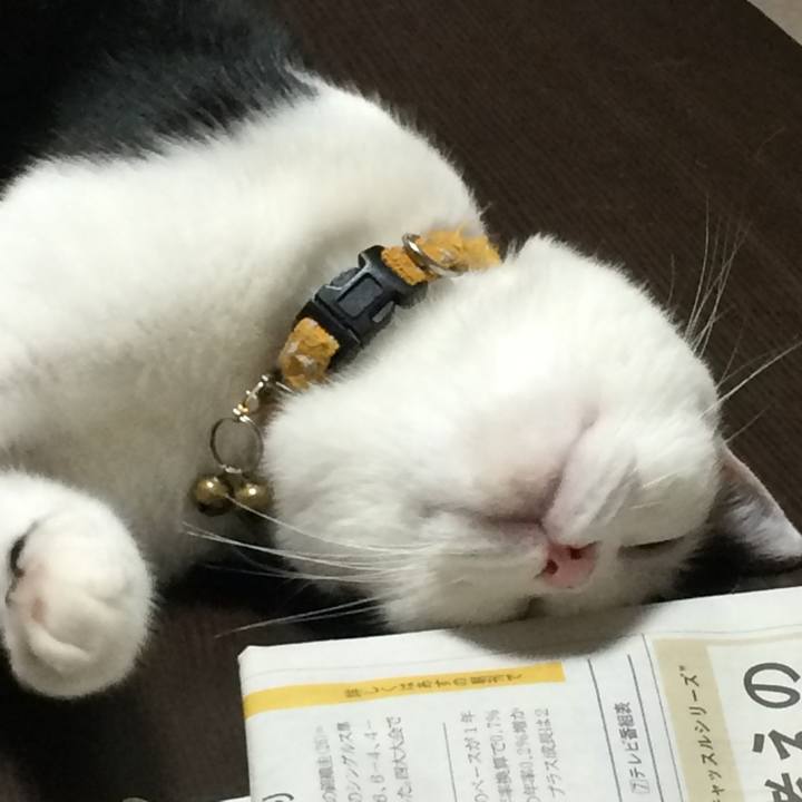 Fabe5404 9376 492d 9d69 c2f8a26f5363