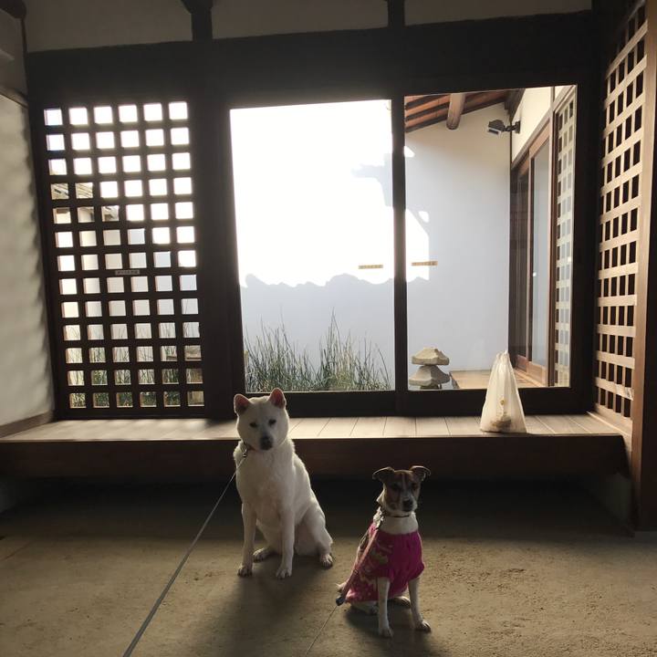 Fabf60ae 86ce 4727 a82e 03a3e4960926