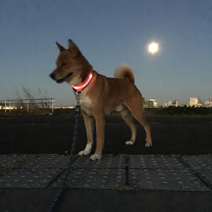 Fabf8c65 a79a 4cf1 8edf 8be2c3465a5a