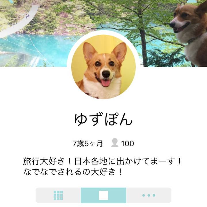 Fabfb4f2 85f5 425b a81d 416b671b61a3