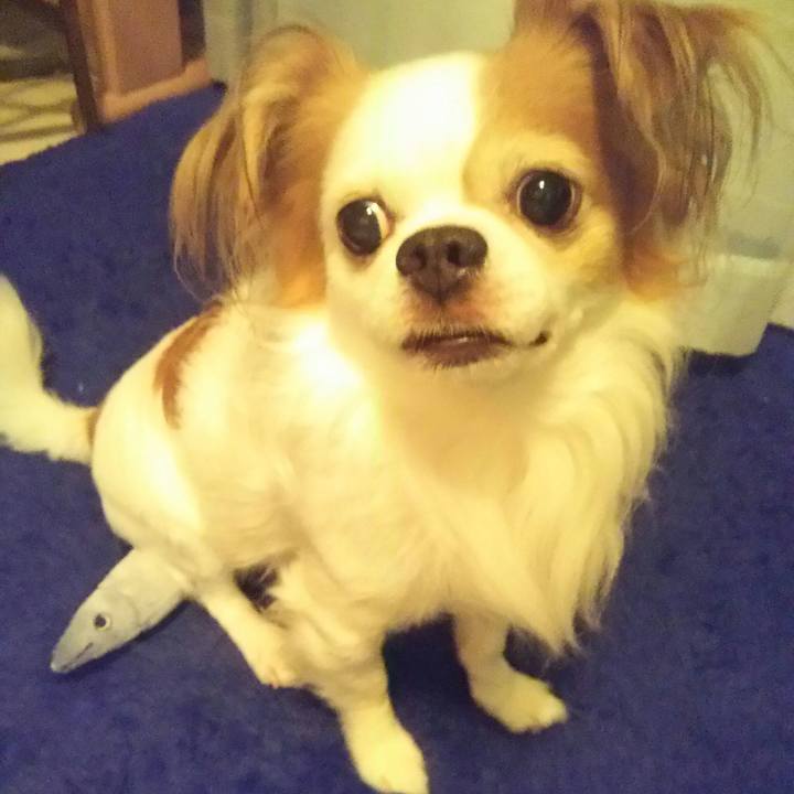 Fabffe8f 47e0 4733 95c1 7f38bc6d92fa