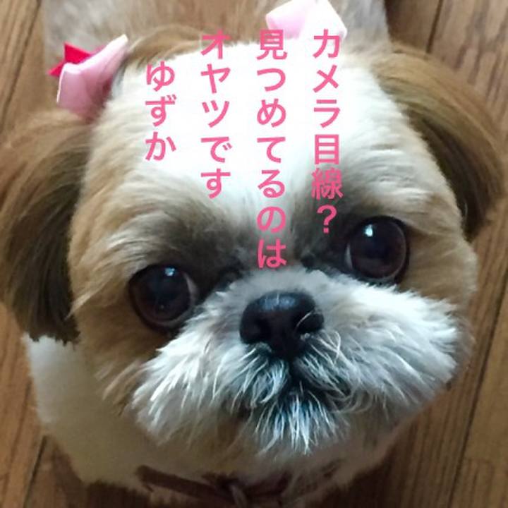 Fac009cf 14ad 4b9b 823d 8191e631c5d3