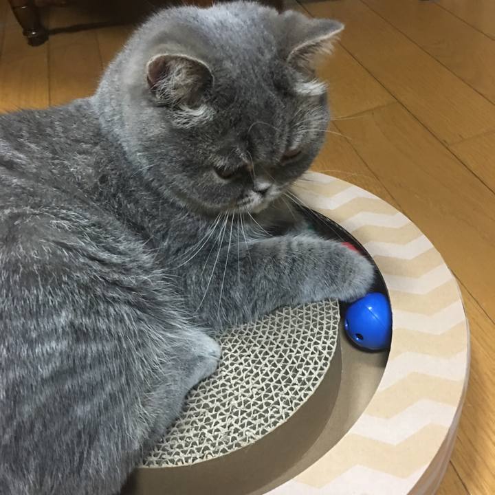 Fac04ce4 fc04 47db b513 ee85c744e441