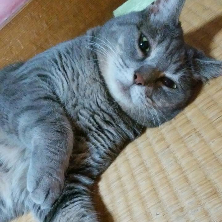 Fac0e453 cbe2 4070 aaf6 dc1058a934b8