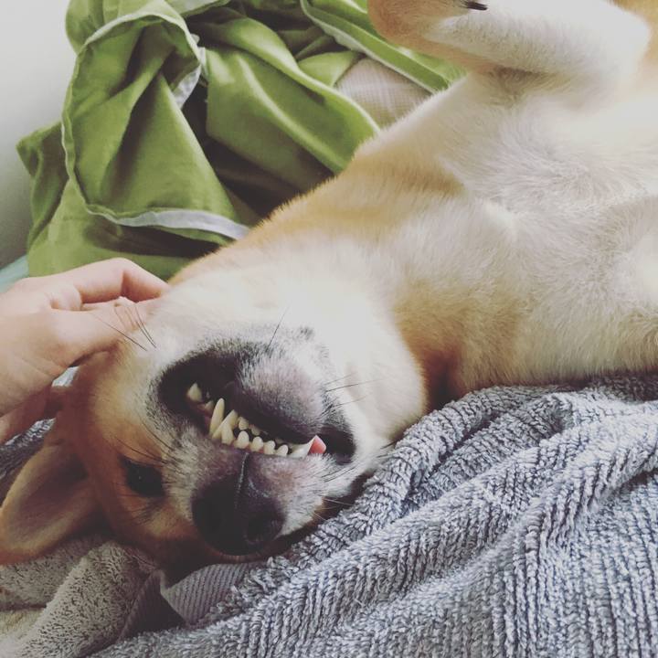 Fac0fac8 f9ff 4f58 ae2e 0337e0475f48