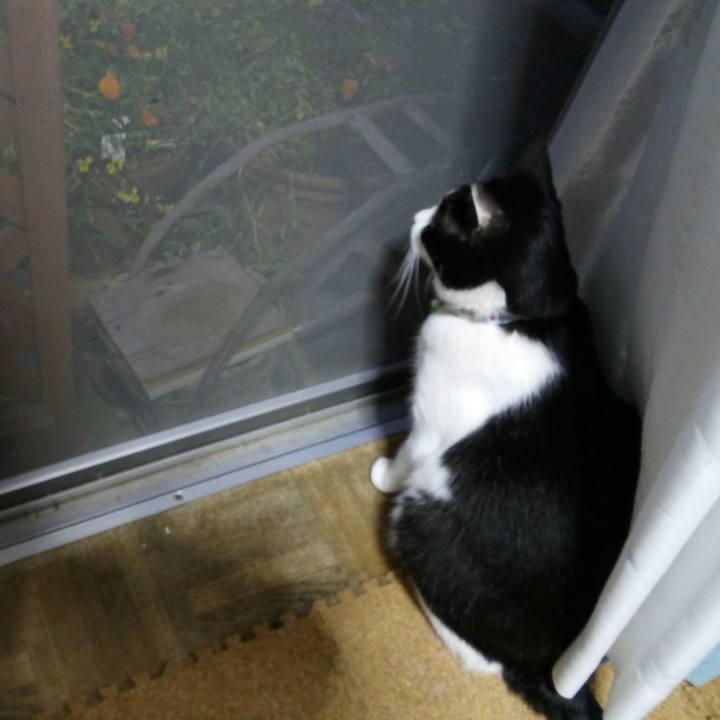 Fac0ff0e c2e7 4d57 97c6 3f494160f7f3