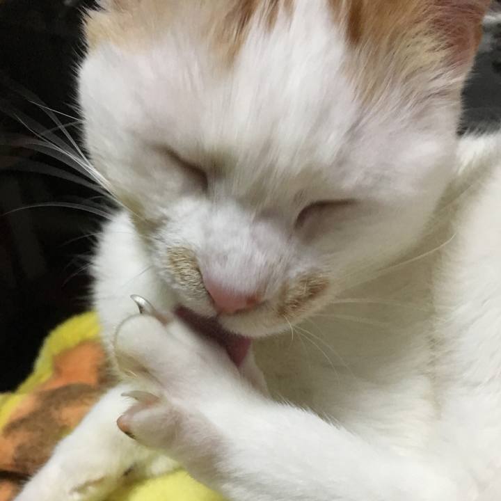 Fac141da 44dd 4c98 8552 5e5610e845da