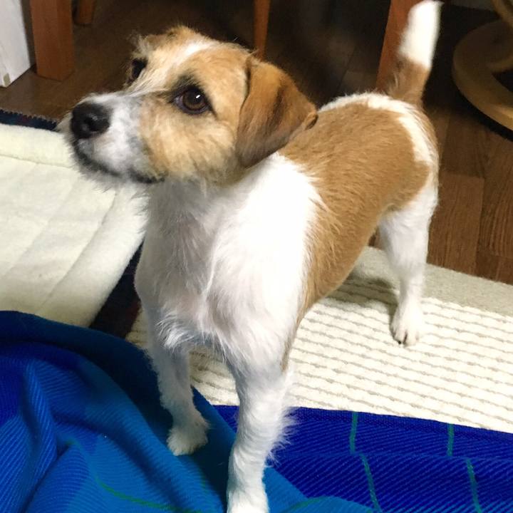 Fac1839c 19ed 4985 bb07 ca71ae1f6111