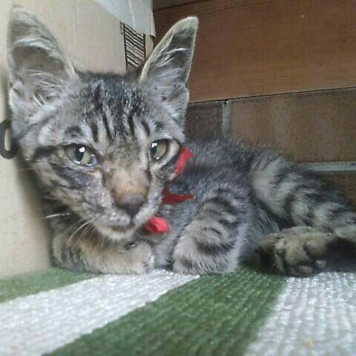 Fac195b1 774a 4aad 9b5f 9c682921849b