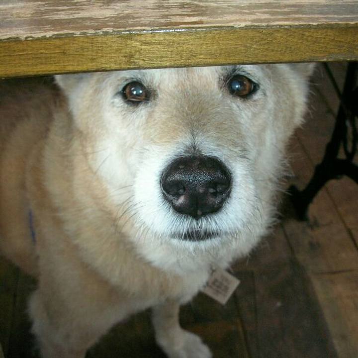 Fac1e0de 0f93 4f3a 86e8 4c6cf969ab60