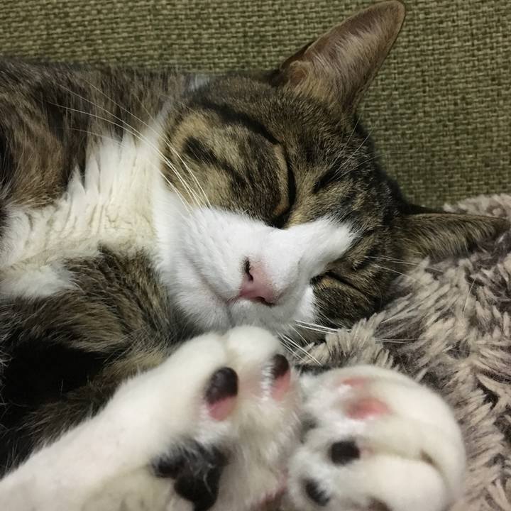 Fac2b82b 1edd 4195 a05c ce812788a83f