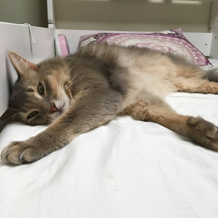 Fac33b94 73f6 4f28 8d85 31403df629b4