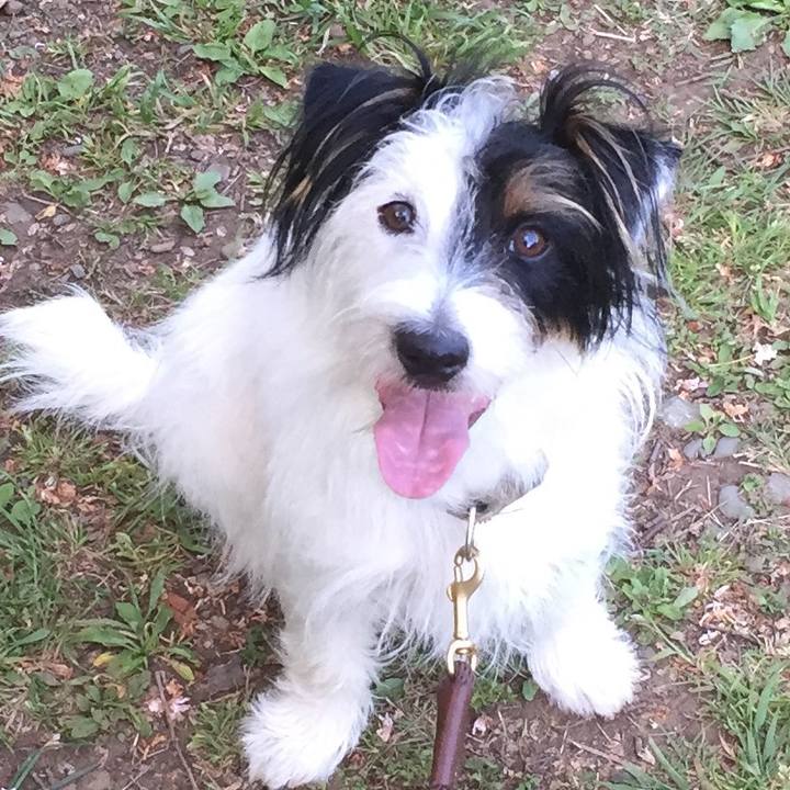 Fac349c3 b97b 481b a2ec 619d369c1a72