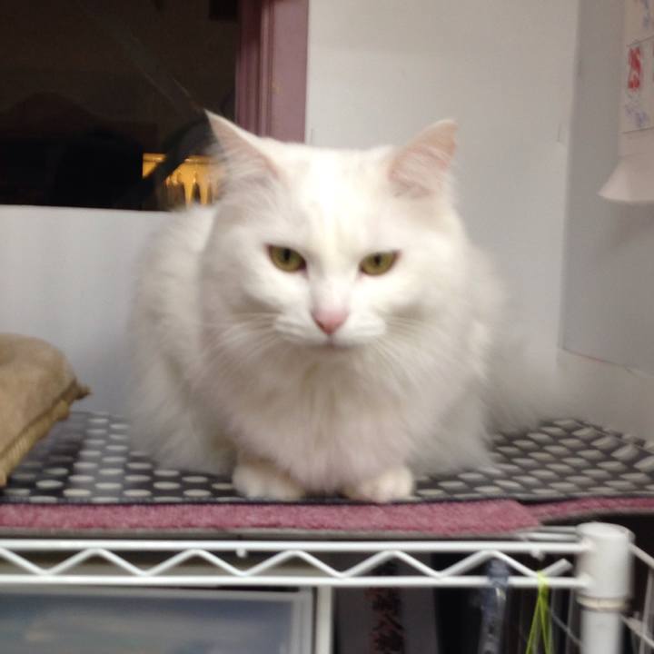 Fac3f43d d0df 4ff8 b9db b56536736b8f