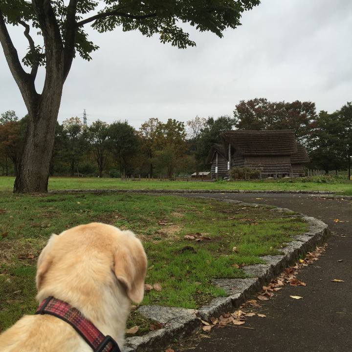 Fac4263c 330e 45c3 9b95 aaf134284a48