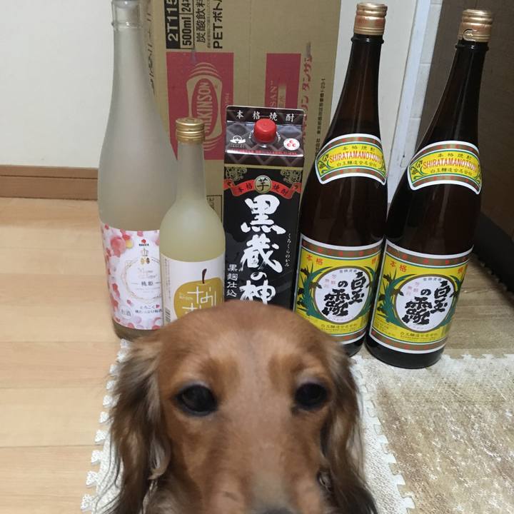 Fac477c3 668f 450d 9ef3 310e53a46930