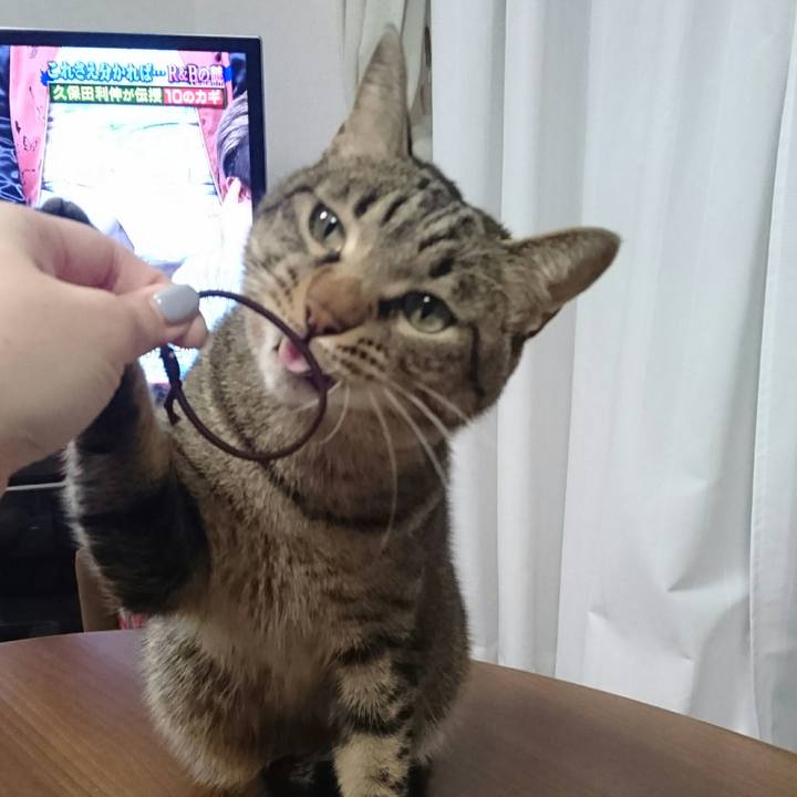 Fac58974 c2d4 4340 8cf2 bf59b344e963