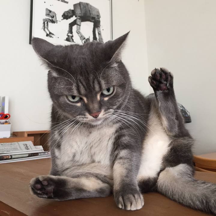 Fac58d0e ef31 4886 a1f2 26e01c9ee5d1