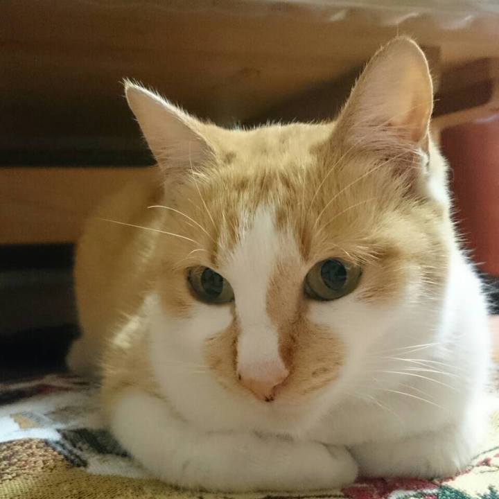 Fac5c19f 3b50 42b1 b08a 3da0739bc73a