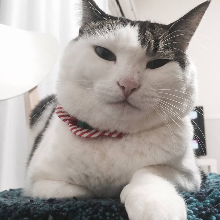 Fac66227 2879 4141 9358 1cc379569dc3