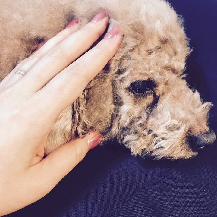 Fac6abbc f367 405c 9f4f 993ff384a954