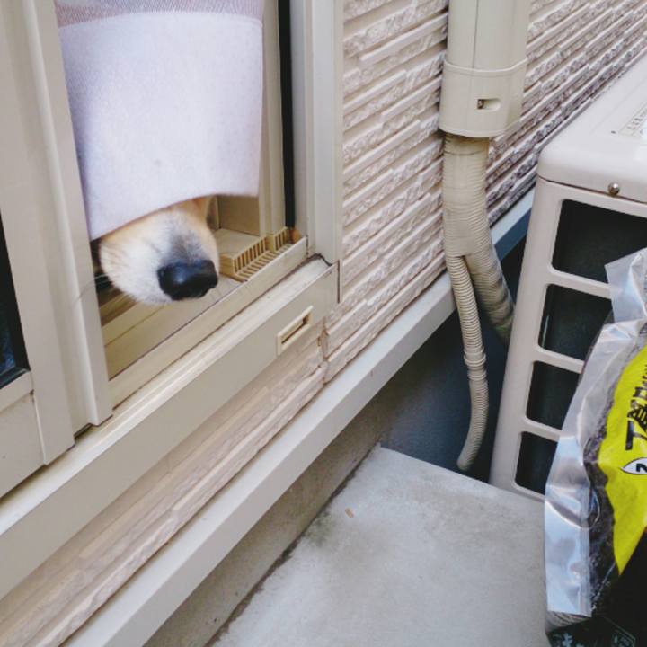 Fac6ccc4 66da 41fa a0a4 55aee697b175