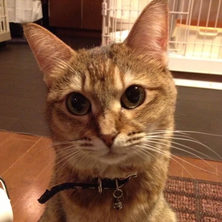 Fac717e6 e025 4aa1 82c4 9b890c45903b