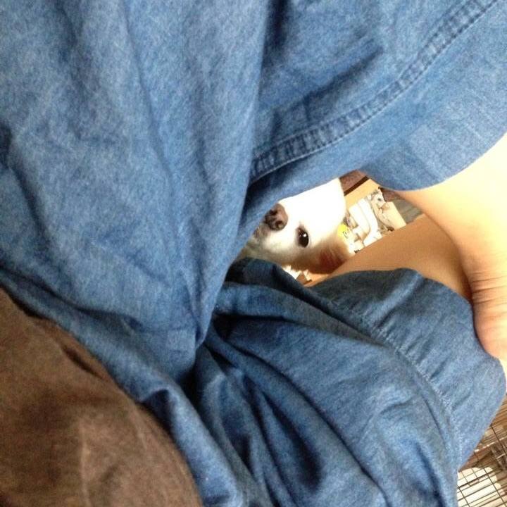 Fac73d12 89b3 4c54 9b53 eca74d00d983