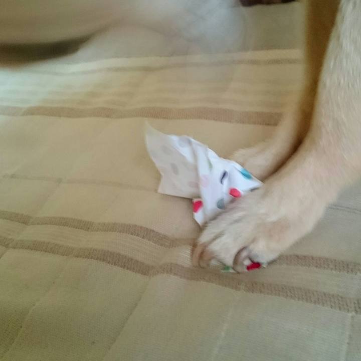 Fac7cc3c 7cae 4a37 92e1 c5d3d9786394