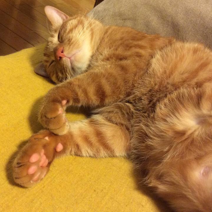 Fac7cd10 4b02 493c 9f7e ecafd1f9ce3a