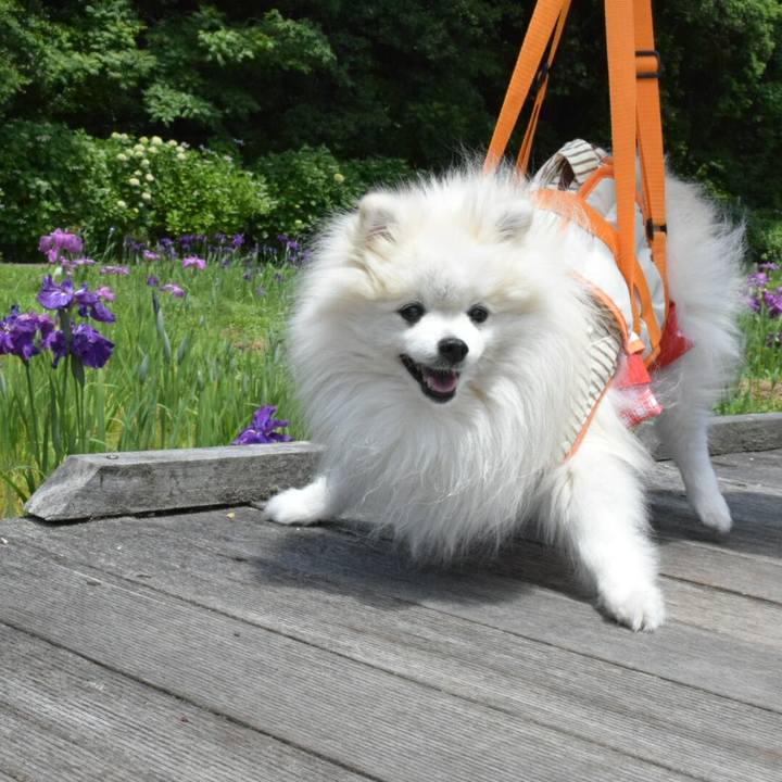 Fac7d8f7 9ca6 47fa 841e 5026cdc30aba