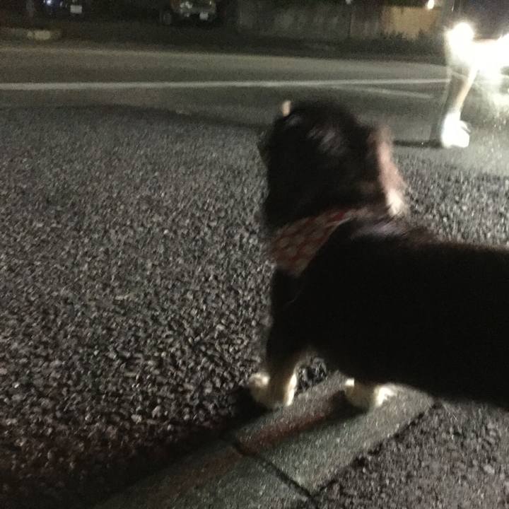 Fac87811 fd8f 4779 a366 7616b618d8f9