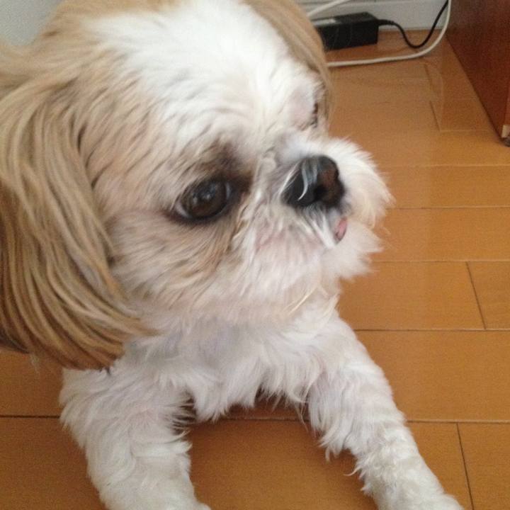 Fac9bbf1 5899 4865 adff 47cfcf224618