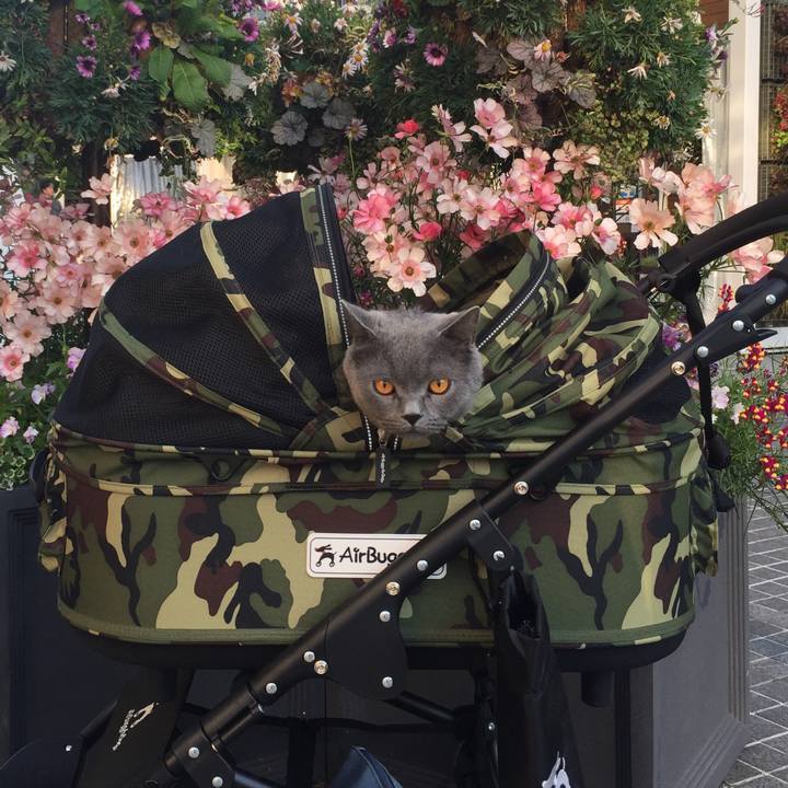 Faca78eb 0890 438a 99b3 e91b847cd280