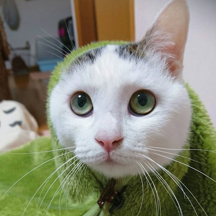 Facbe264 735f 47ed 93e1 74f0dd4084f9