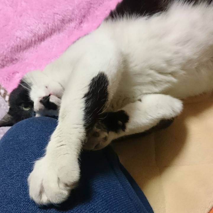 Facc4d0b 51f8 4a99 a193 fe44495f214e