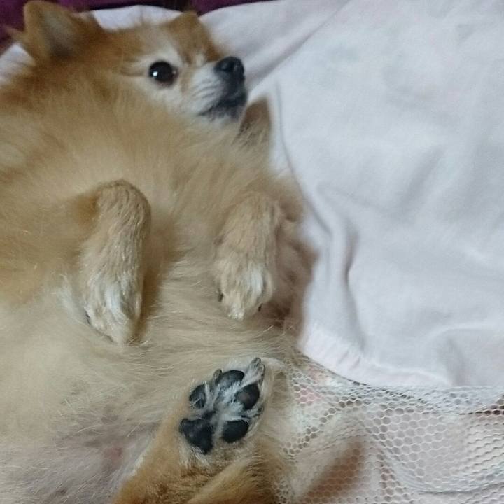 Facc55db 5d02 4415 9650 024dae1c42cc