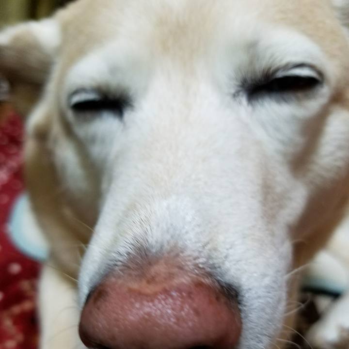 Facd8f82 dd0f 4197 978f 9324a389a332