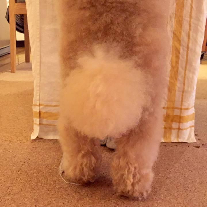 Face0bc4 7acc 42f6 a351 6ded18bddded