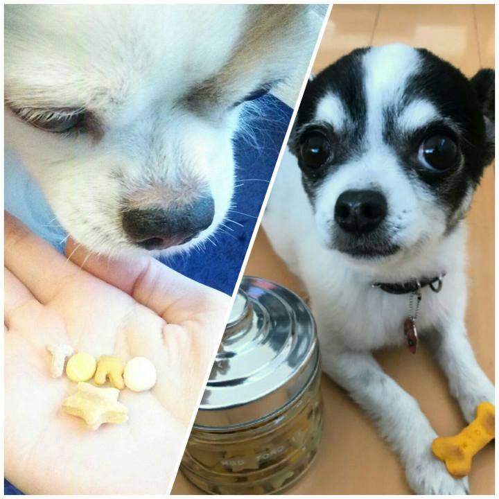 Face69ed 51ca 44f7 b161 6e38d78b7347