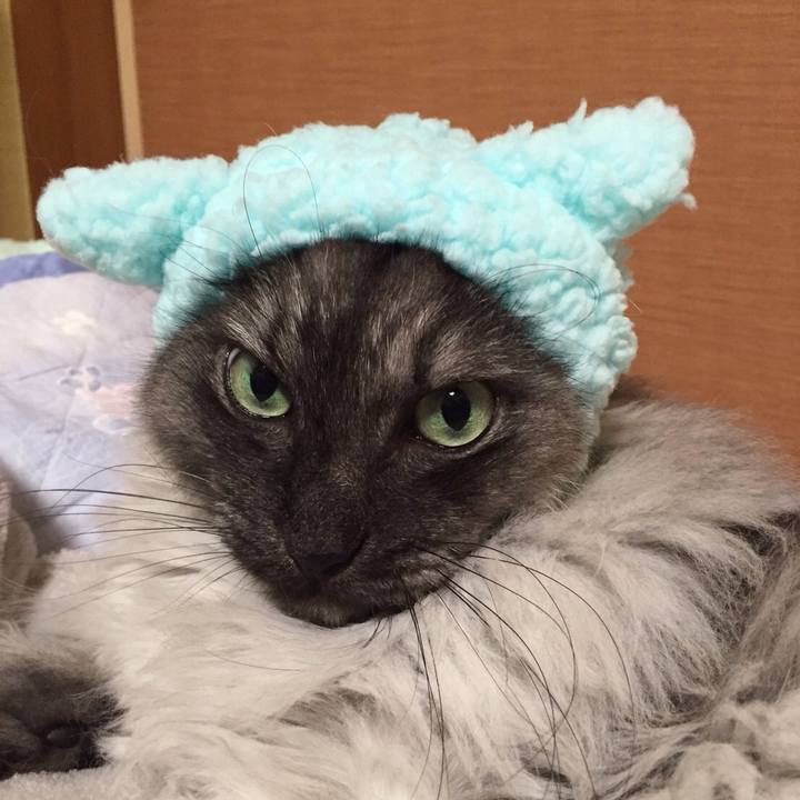 Faced5f5 8d89 41c8 9e90 6675babe9853