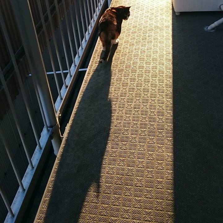 Facf128f f205 4f18 a6f8 b9da0b354d18