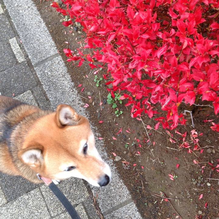 Facf552c 7125 4442 a7a9 2ef78f3fe823