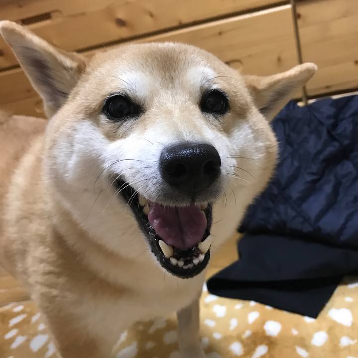 Facf686b 105f 4a8e ade9 04dff8260772