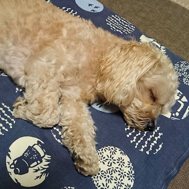 Facf81a1 6f6d 45a8 bc80 6bd12a20d105