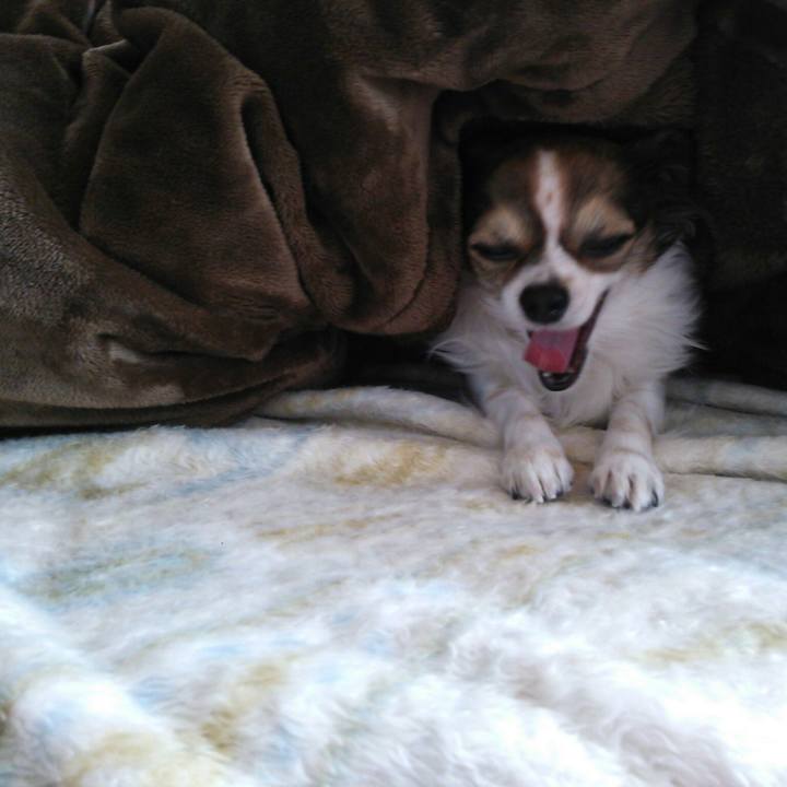 Fad00606 8b2c 44c4 9073 2f54ca97e5a7