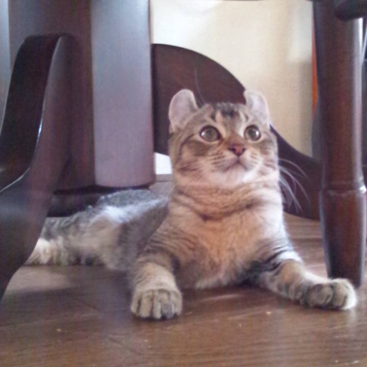 Fad018d5 773b 4c70 a89d 9a6af2e445d5