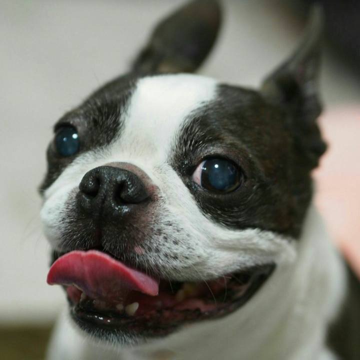 Fad027fb b97e 420d a48b 22273a333891